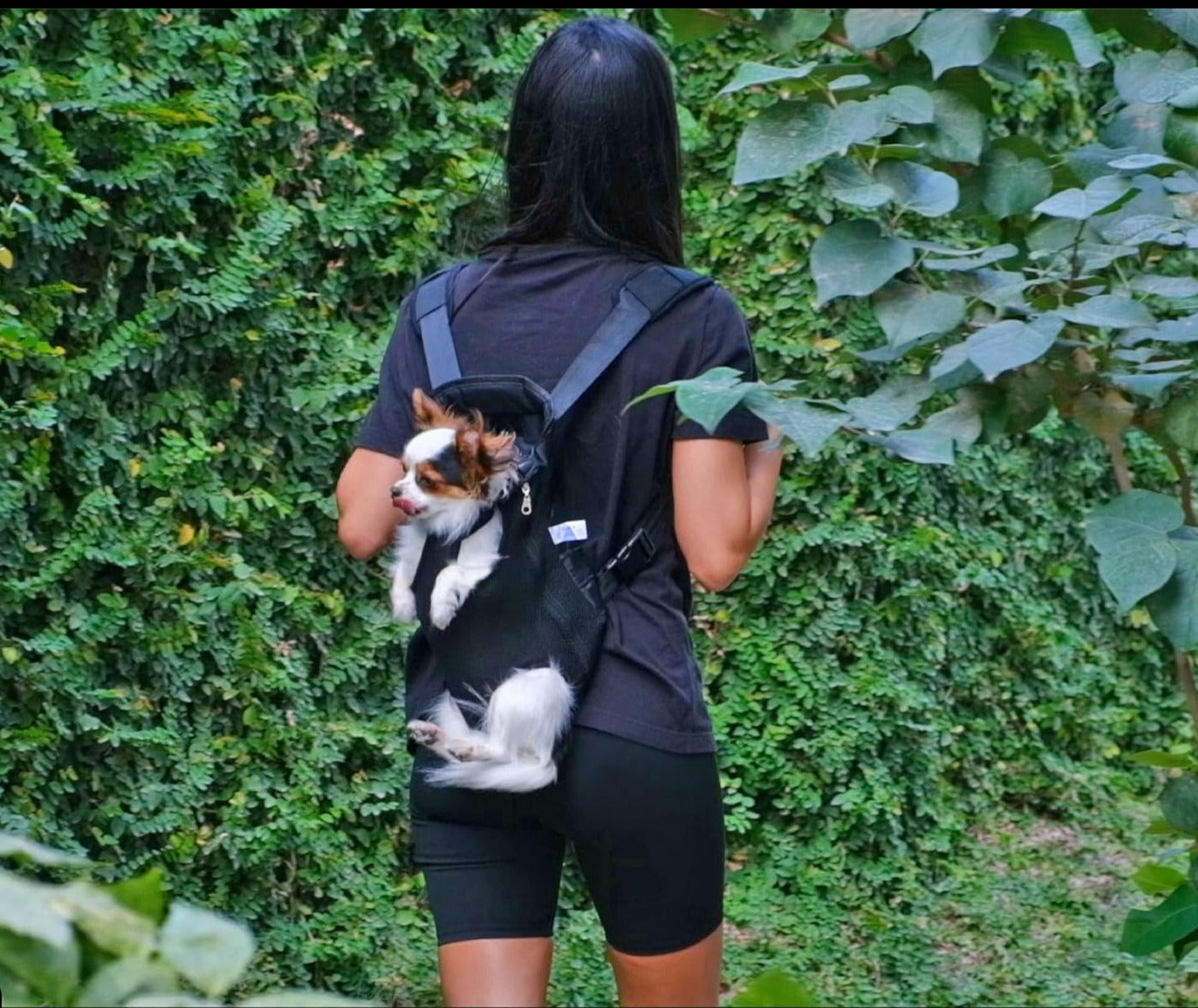 PetBag™ - Pet Carriers Bag