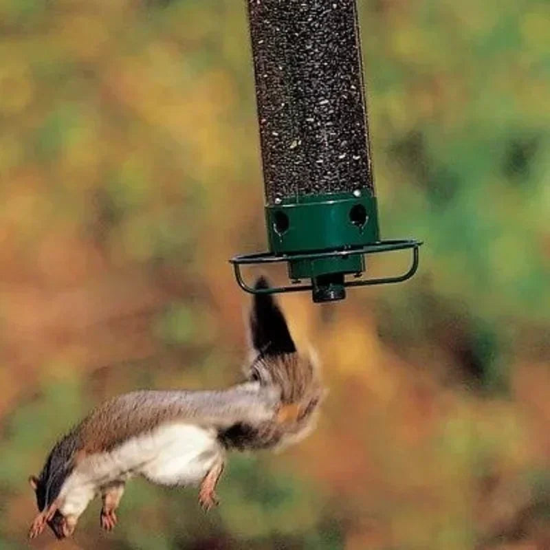 BirdHaven™ Squirrel-Proof Bird Feeder