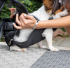 PetBag™ - Pet Carriers Bag