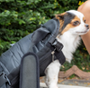 PetBag™ - Pet Carriers Bag